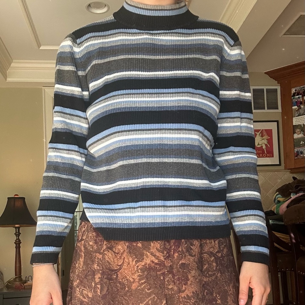 Karen Scott Blue and Gray Turtleneck Sweater